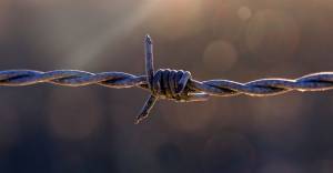 Advantages of Installing A Barbed Wire Fence-Texas Fence and Iron