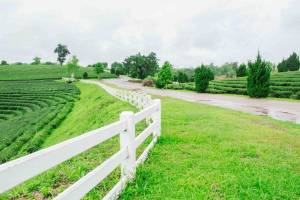 How to Increase Your Home's Value with a New Fence-Texas Fence and Iron