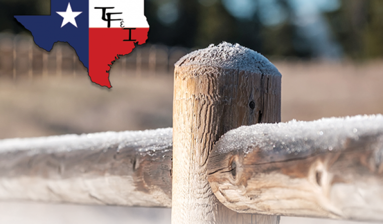 How to Help Your Wooden Fence Survive the Winter Months