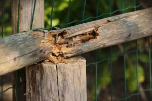 5 Signs It's Time to Replace Your Fence - Texas Fence and Iron