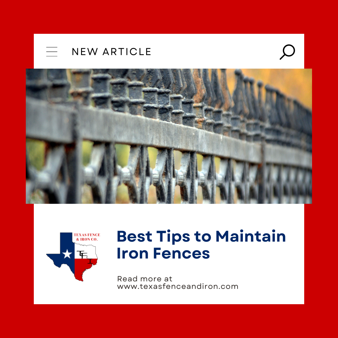 Best Tips to Maintain Iron Fences