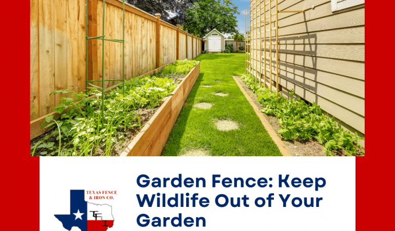 Garden Fence: Keep Wildlife Out of Your Garden