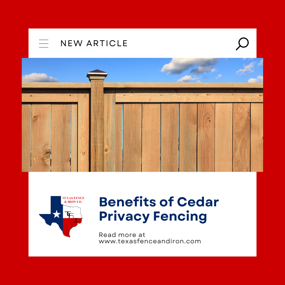 Benefits of Cedar Privacy Fencing